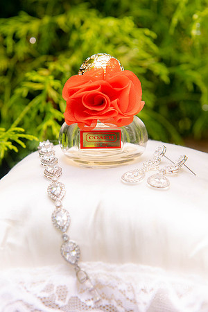Indigo-Falls-Wedding-Photographer-3