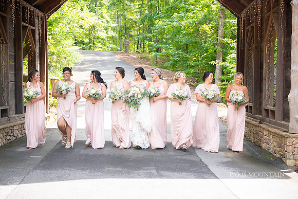 Indigo-Falls-Wedding-Photographer-29