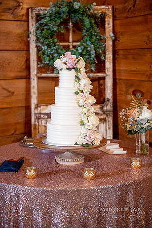Indigo-Falls-Wedding-Photographer-59