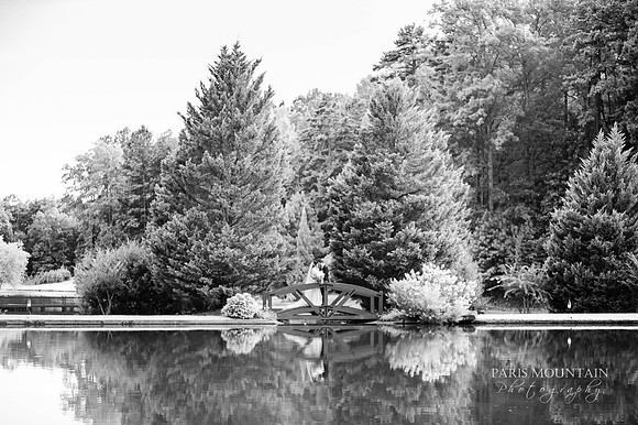 Indigo-Falls-Wedding-Photographer-94