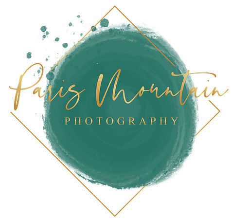 2020 PMP watermark logo