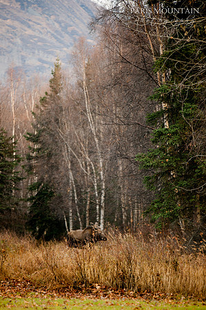 Alaska-4b