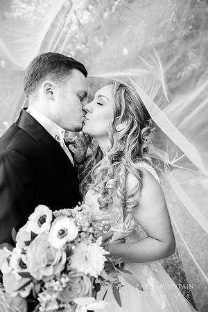 Indigo Falls Wedding Photogrpaher-172