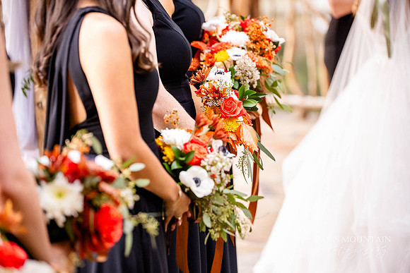 Indigo Falls Wedding Photogrpaher-134