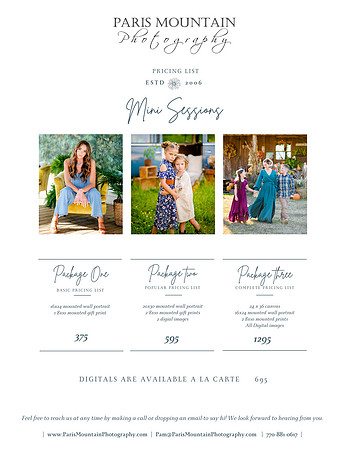 2024 mini session pricing menu