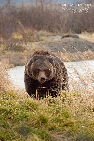 Alaska-6b