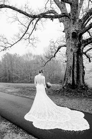 Venue at Twin Oaks Wedding Photographer-47