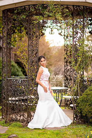 PMP Prom-8