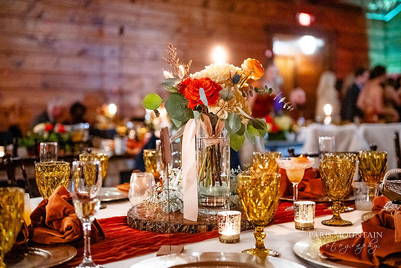 Indigo Falls Wedding Photographer-168