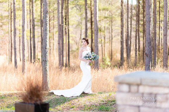 Paulding County Wedding Photographer-65