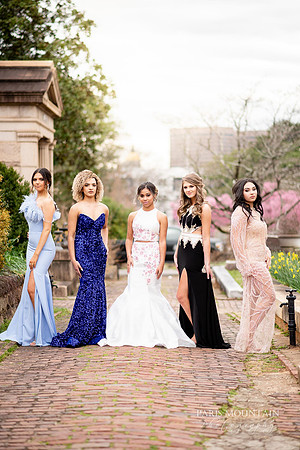 PMP Prom-3